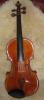 Old English violin of the Bright String Trio